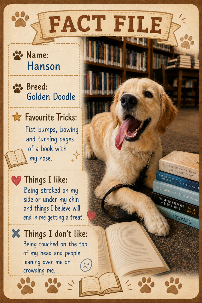 Our Reading Dog